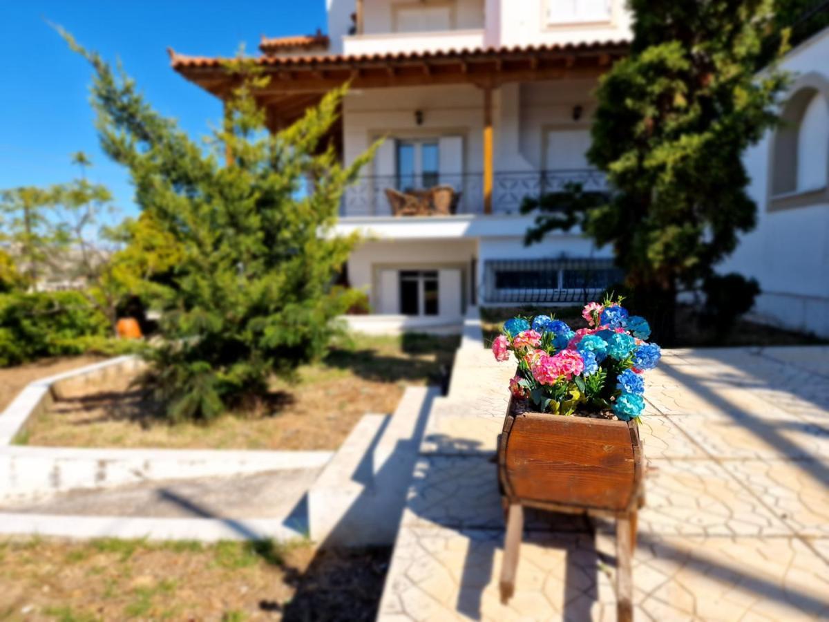 Villa Liana : Luxury Villa With Fantastic Sea View, Near Airport Porto Rafti Exterior photo