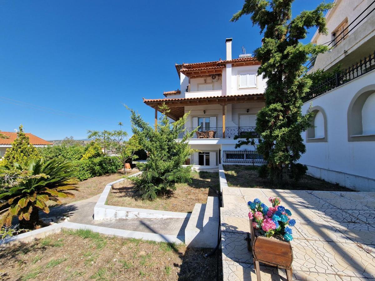 Villa Liana : Luxury Villa With Fantastic Sea View, Near Airport Porto Rafti Exterior photo