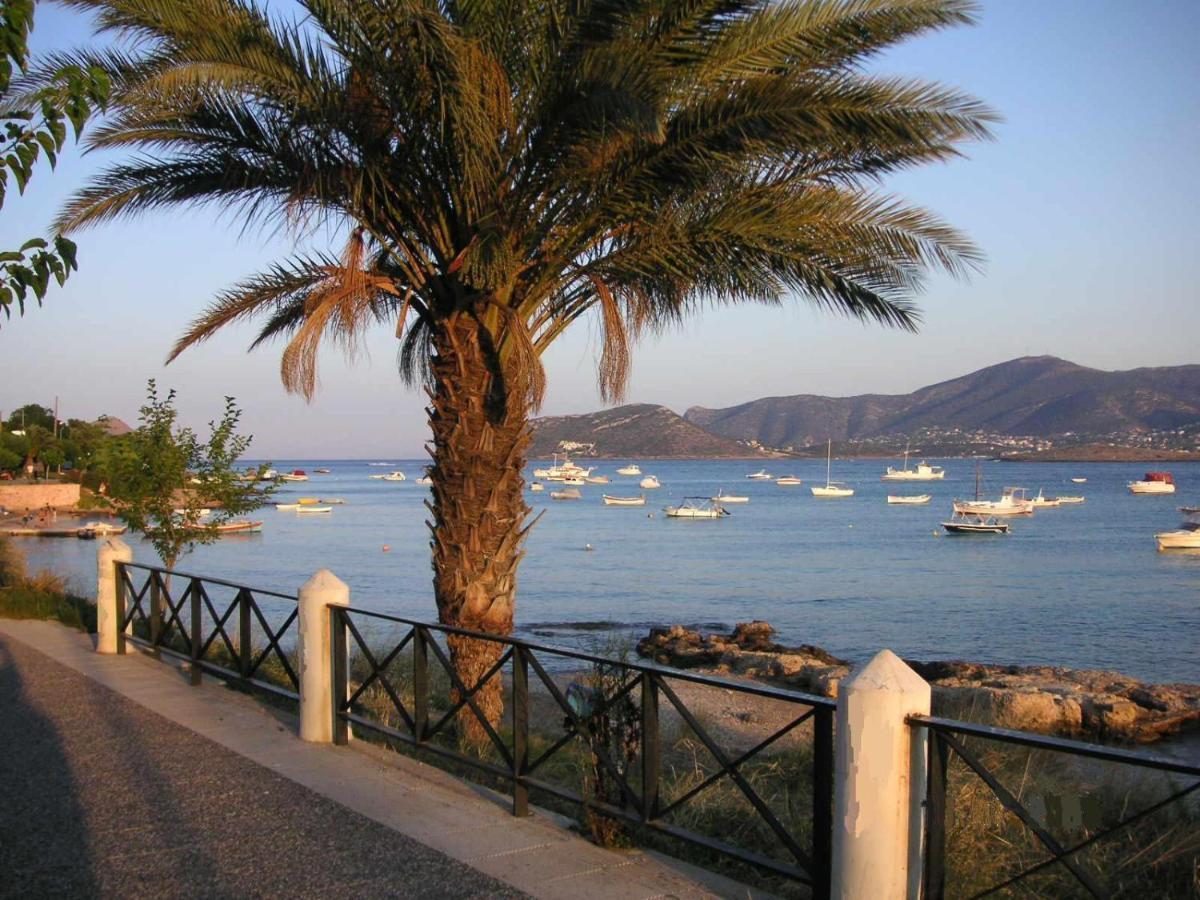Villa Liana : Luxury Villa With Fantastic Sea View, Near Airport Porto Rafti Exterior photo
