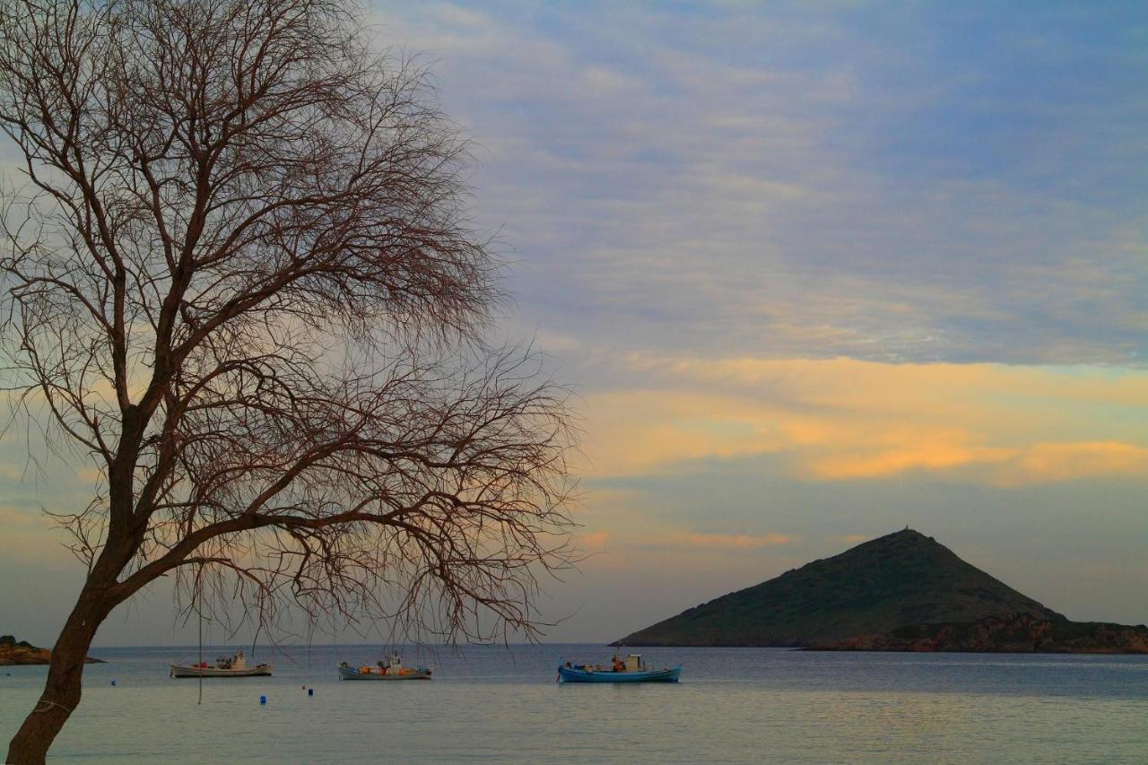 Villa Liana : Luxury Villa With Fantastic Sea View, Near Airport Porto Rafti Exterior photo